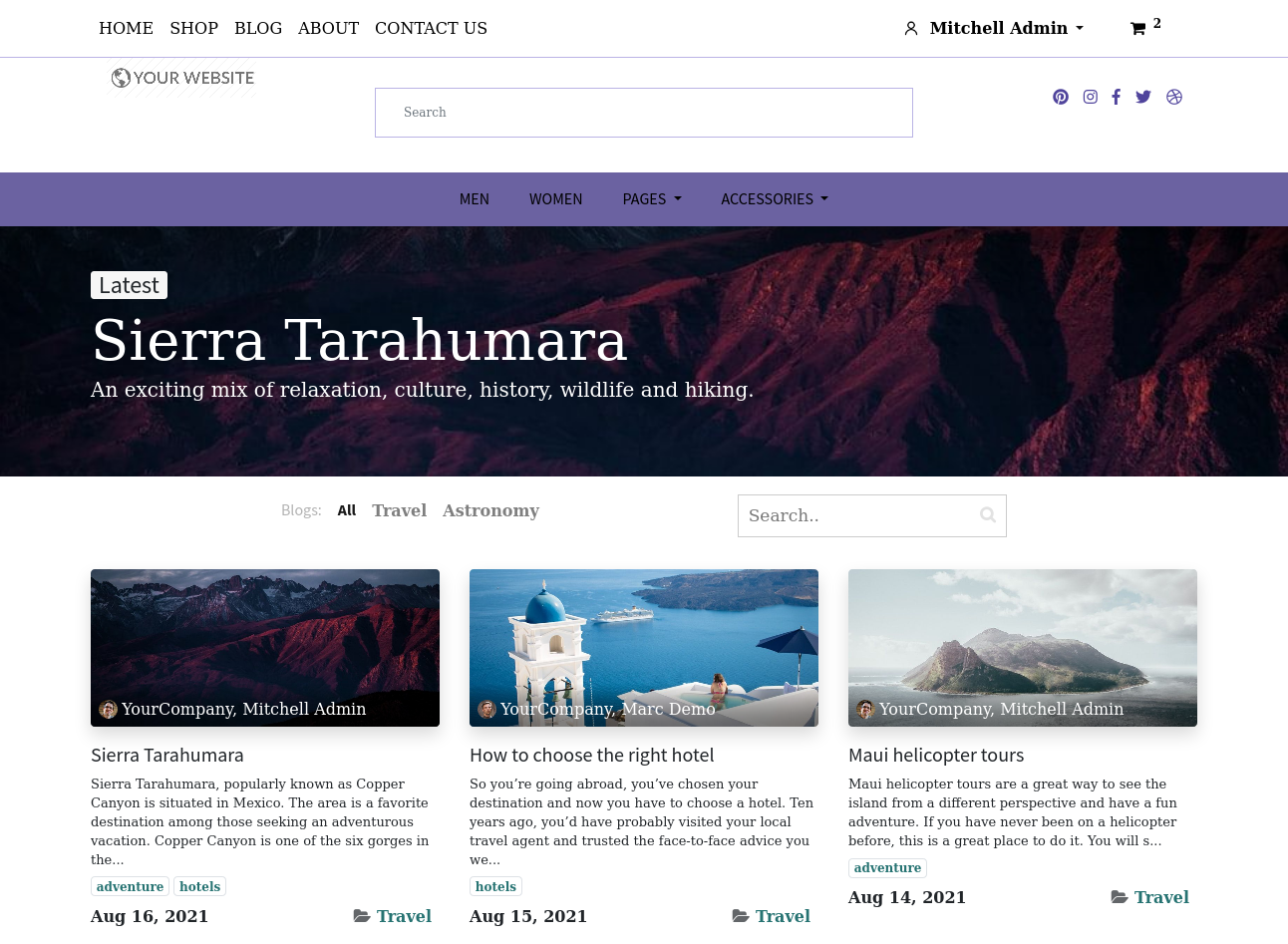 Theme Screenshot