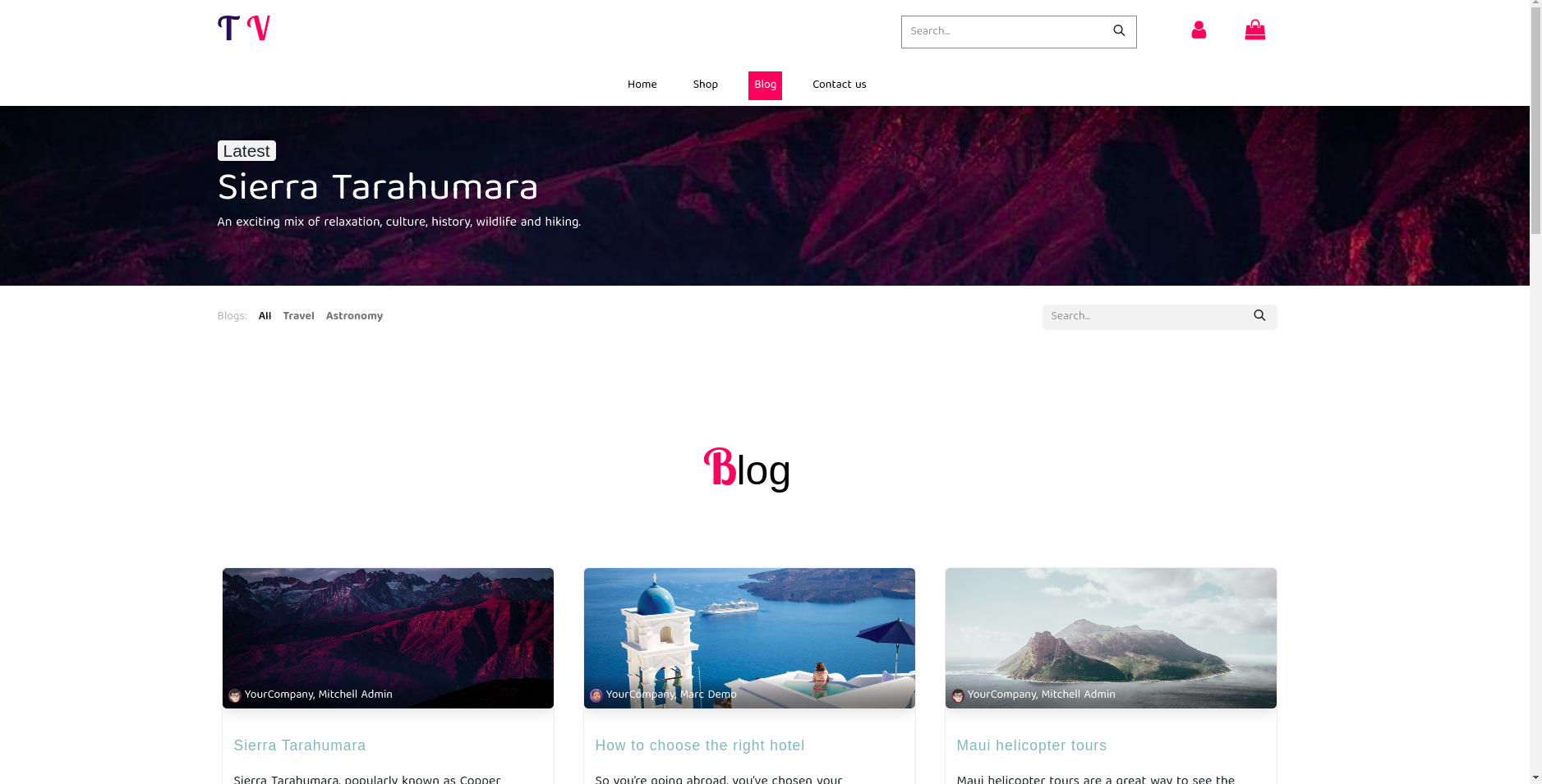 Theme Screenshot
