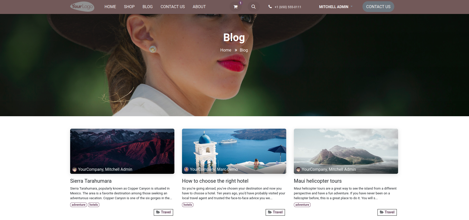 Theme Screenshot