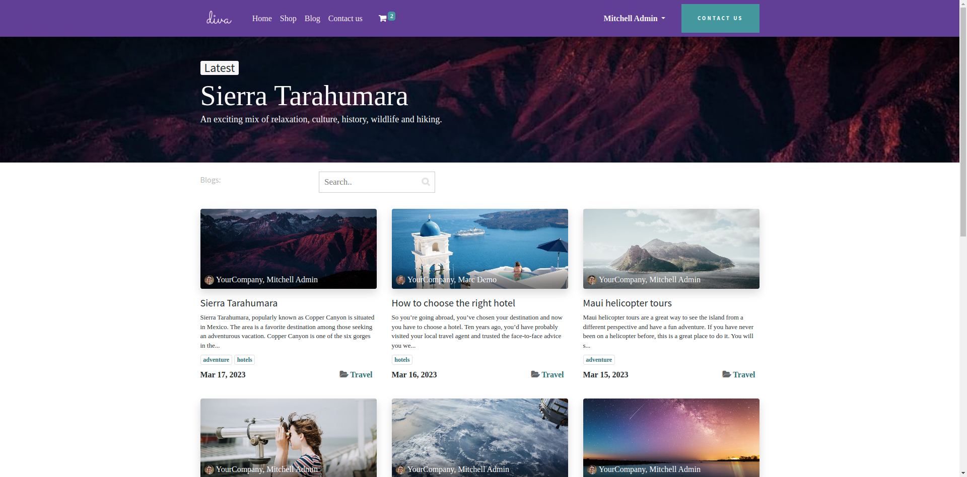 Theme Screenshot
