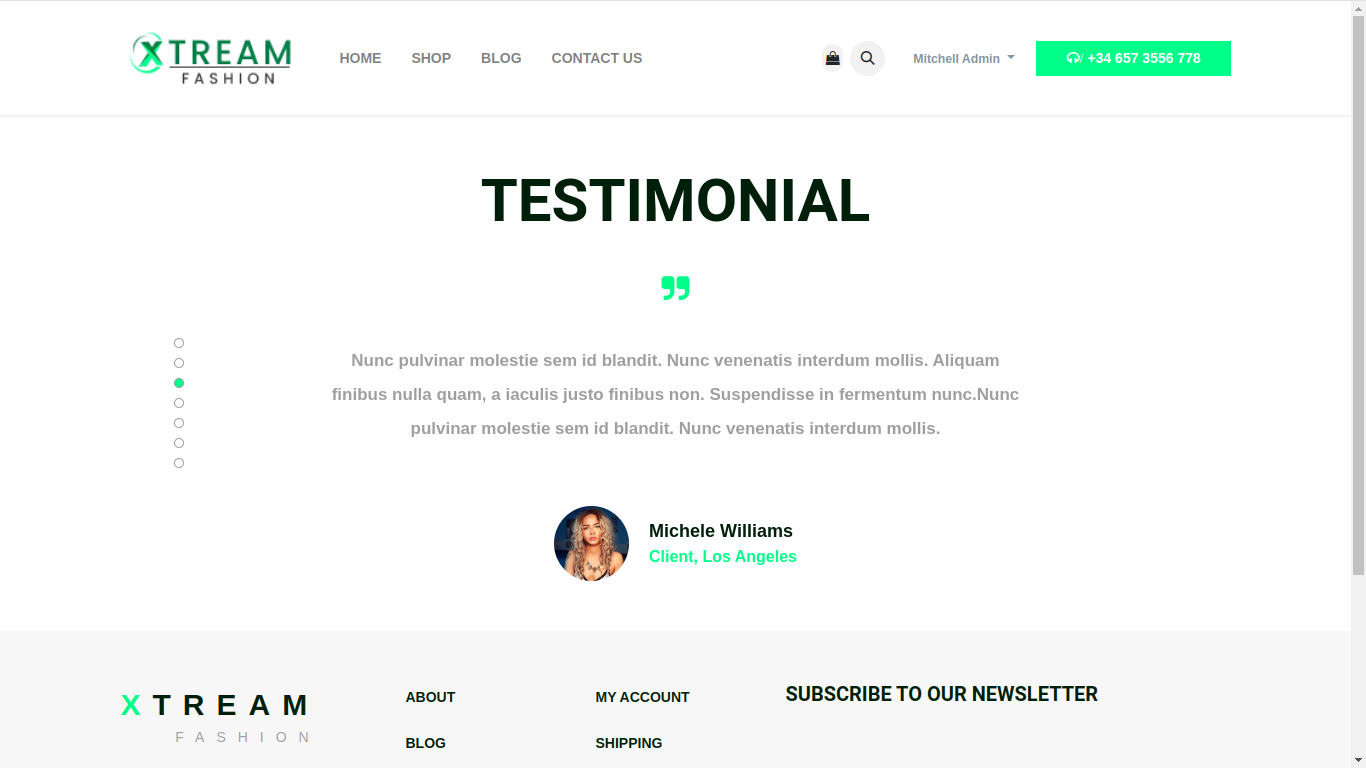 Theme Screenshot